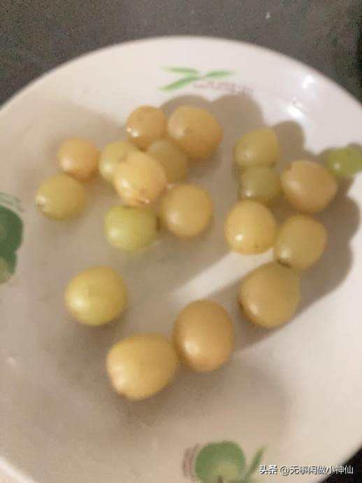 微波炉烤蛋挞