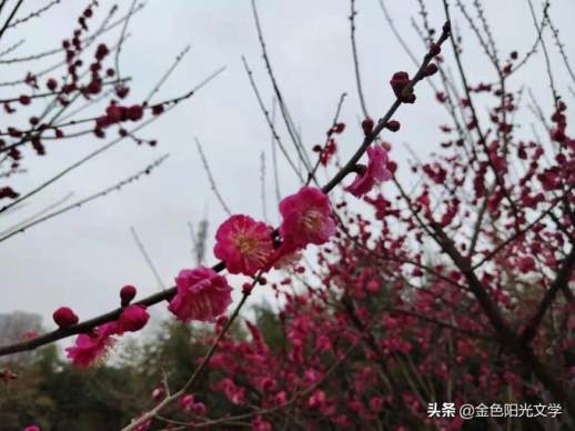 新学期学习成长计划