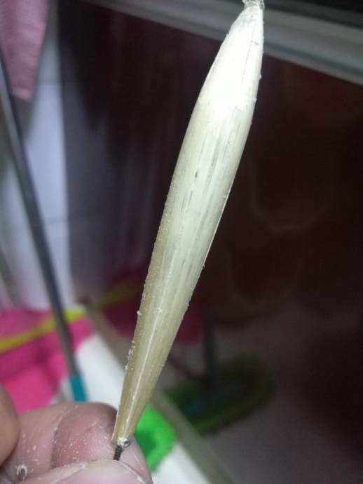 鱼竿鱼漂怎么安装图解