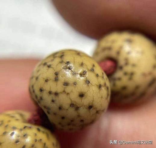 星月菩提开片