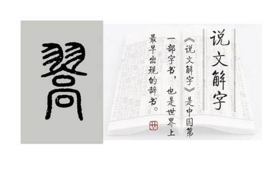 凤凰于飞翙翙其羽是什么意思