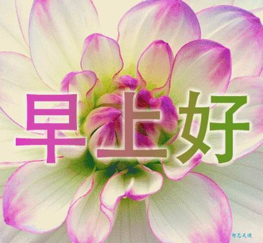 祝你早安午安晚安
