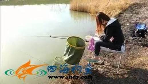 夏季钓鱼技巧