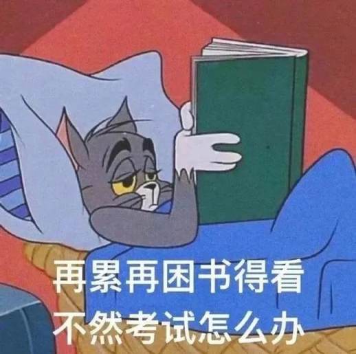 坚持的句子说说心情