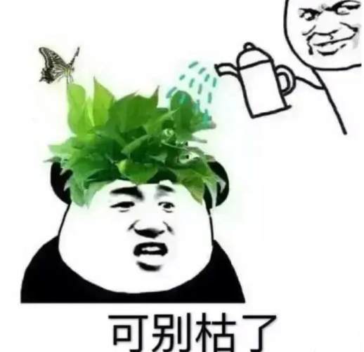 煮蛋器和水煮蛋哪个好