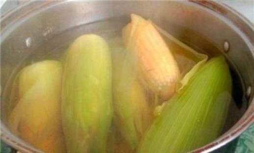 煮玉米要多长时间