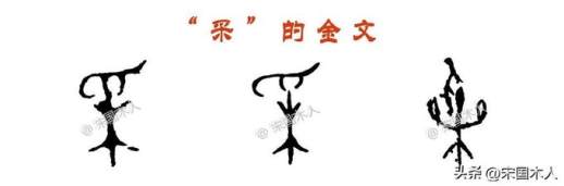 寀怎么读