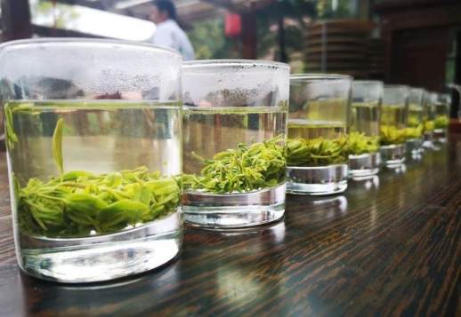 高山云雾茶