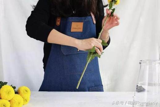乒乓菊的花语