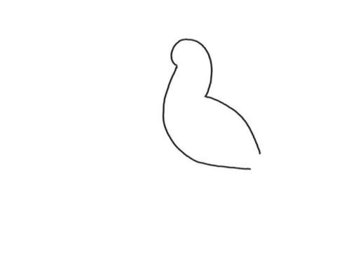 简笔画鸟的画法简单