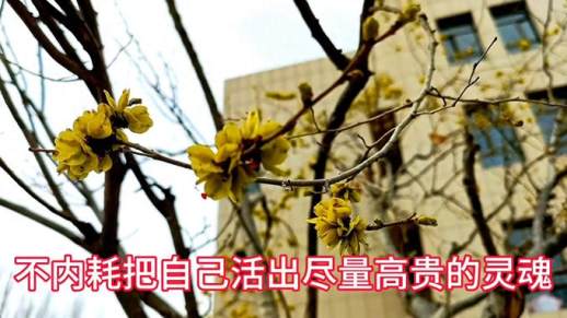 你什么我什么
