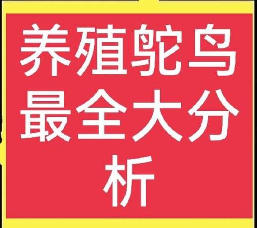 驼鸟养殖