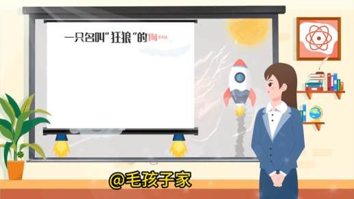 给狗狗取名字独一无二