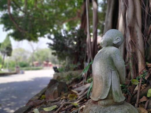 题破山寺后禅院赏析