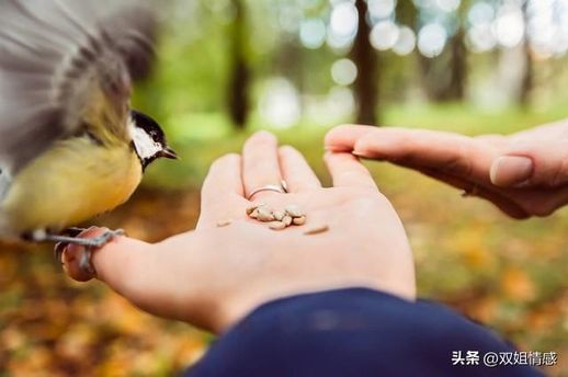 如何忘掉一个深爱的人_怎么忘掉自己深爱的人