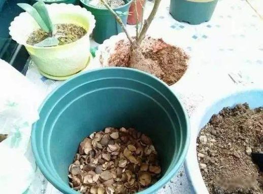 花盆底下垫什么好_深盆栽花盆底如何垫底