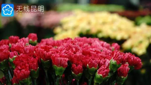 昆明有什么好玩的_昆明十大游乐场排行榜