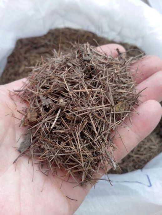花盆底下垫什么好_深盆栽花盆底如何垫底