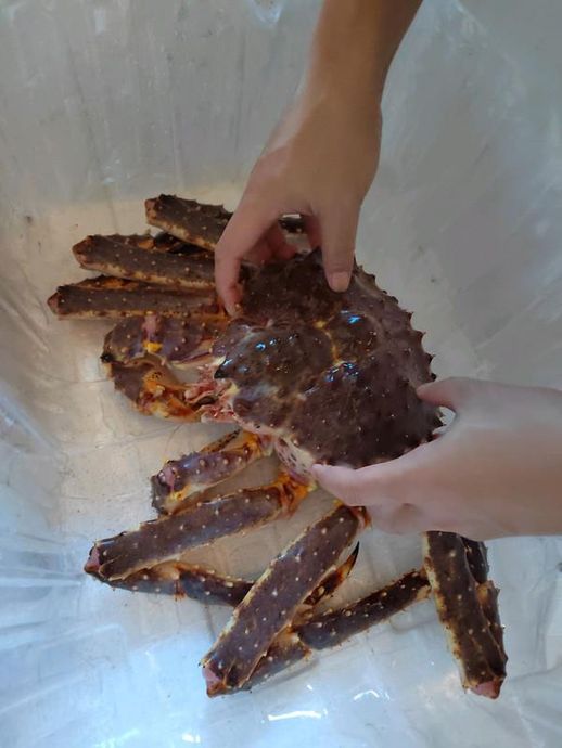 清蒸帝王蟹_清蒸帝王蟹高清图片