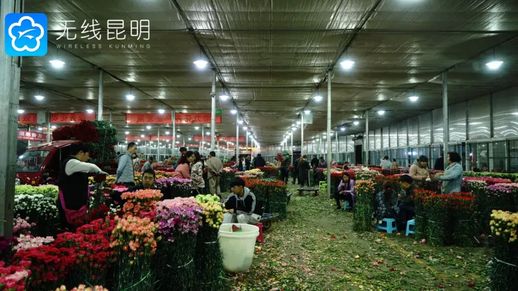 昆明有什么好玩的_昆明十大游乐场排行榜