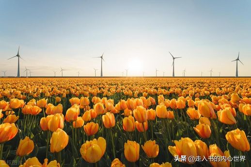 道德产生的主观条件_道德产生的主管条件
