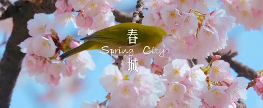 昆明有什么好玩的_昆明十大游乐场排行榜