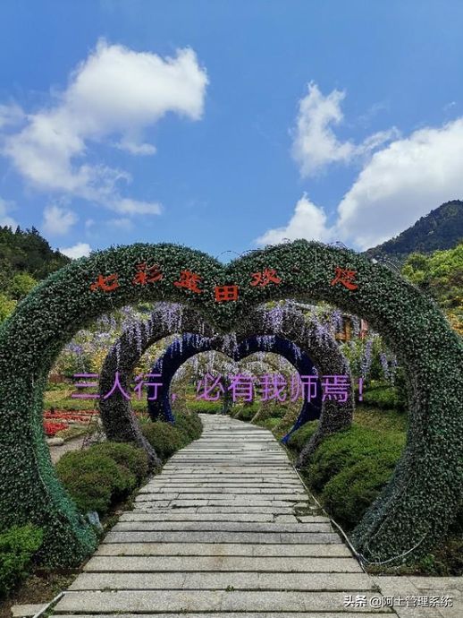 三人行必有我师_三人行下一句幽默