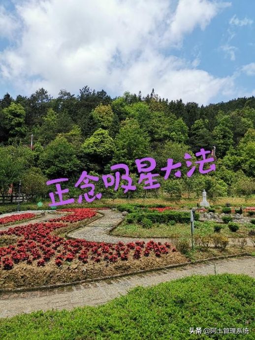 三人行必有我师_三人行下一句幽默