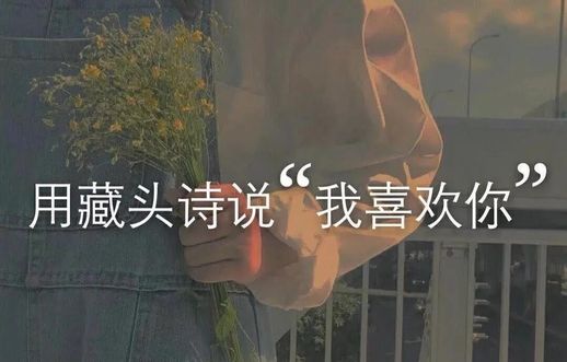 藏头诗表白_浪漫的爱情藏头诗