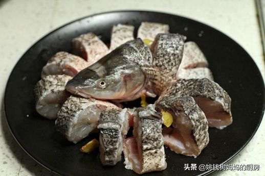 淡水银鳕鱼多少钱一斤_银雪鱼活鱼图片