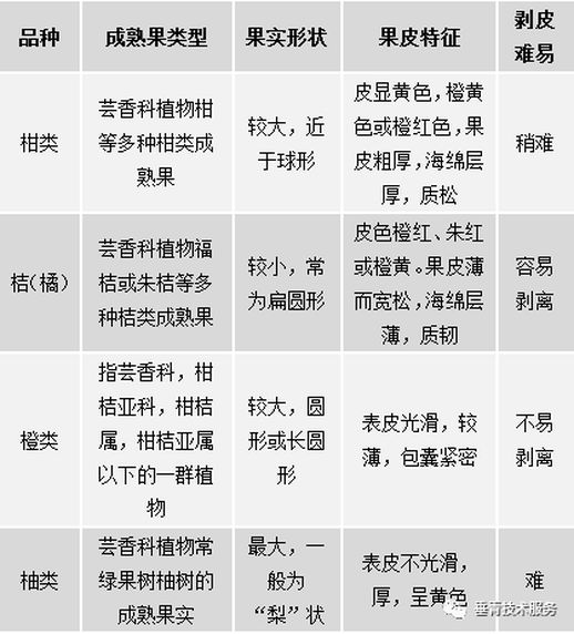 柑与橘与桔的区别_怎么区分桔和柑