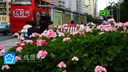 昆明有什么好玩的_昆明十大游乐场排行榜