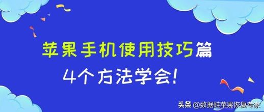 苹果手机步骤_新手机使用步骤