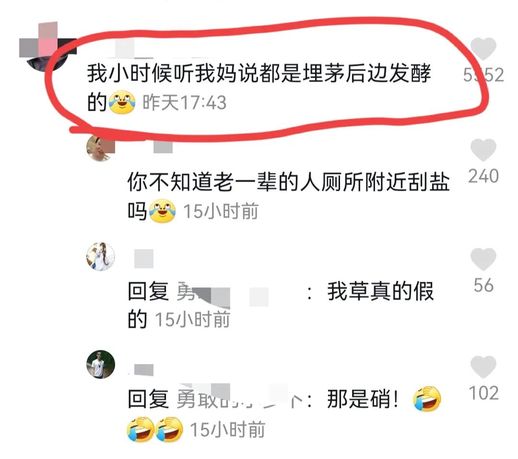 正宗臭豆腐制作方法_家庭如何自制臭豆腐