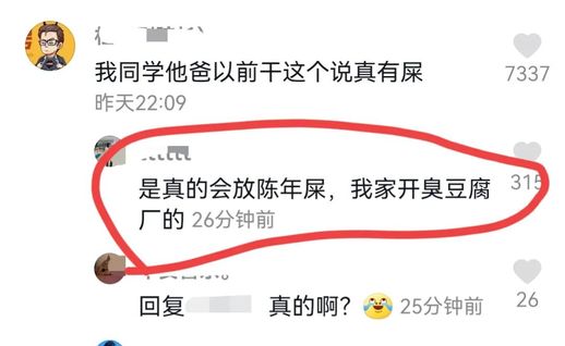 正宗臭豆腐制作方法_家庭如何自制臭豆腐
