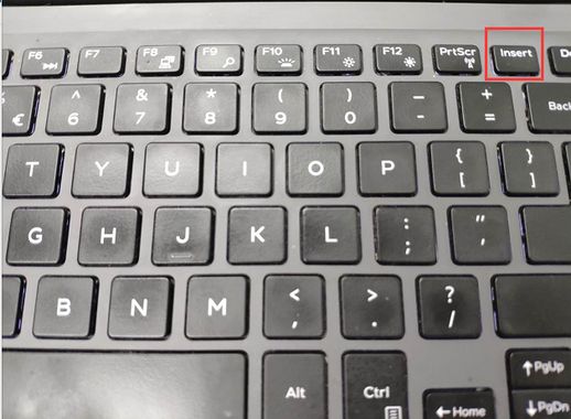 下划线上打字不线_怎么在已有下划线上打字