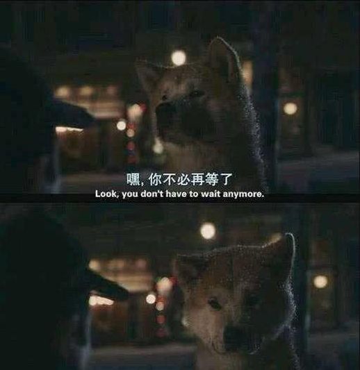 卑从心中起万般不如人_万般皆是命半点不由人出自哪首诗