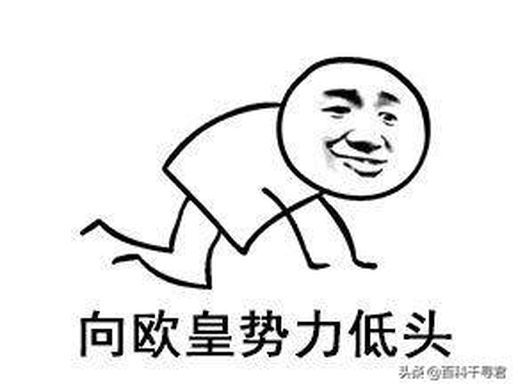 伏尔加的鱼是什么意思_伏特加标志一条鱼