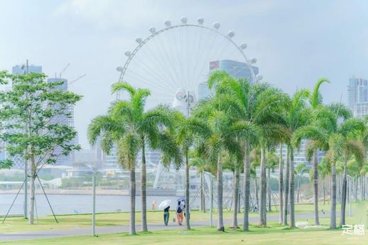 深圳哪些地方好玩_深圳哪些地方好玩不用钱的