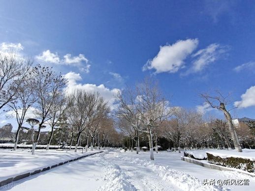 描写雪景的诗词_关于静雪的诗句