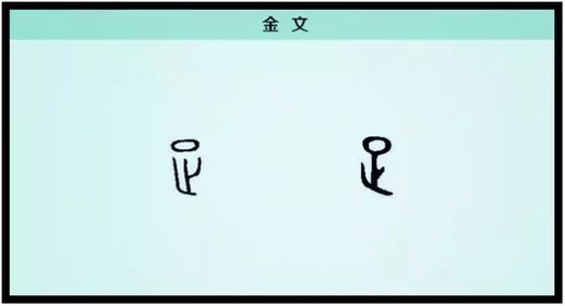 带足字的成语_带足字的成语接龙
