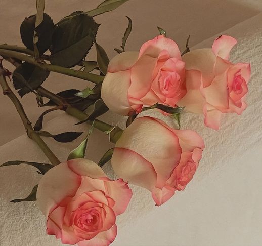 渐行渐远的意思_女人说渐行渐远啥意思