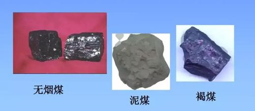 煤是怎么形成的_煤是怎么来的