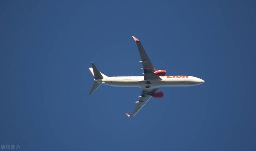 学空乘专业有什么要求_学空乘需要什么条件