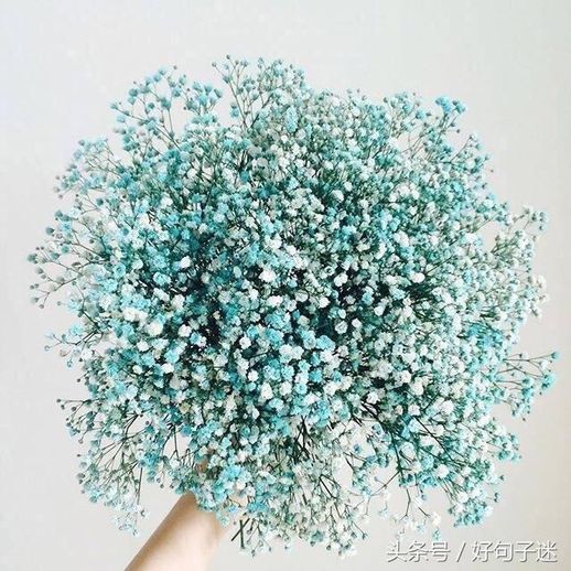 关于情人节单身的说说_单身说说心情短语人生感悟