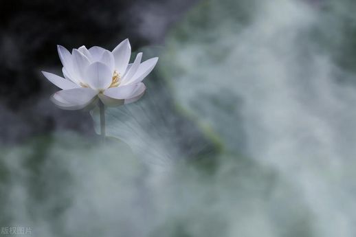 偈语怎么读_偈语是什么意思啊