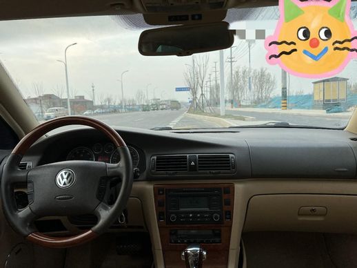 帕萨特领域_桑塔纳志俊自动挡很少见