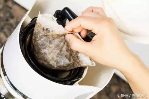 咖啡渣能养花吗_咖啡渣怎样做肥料