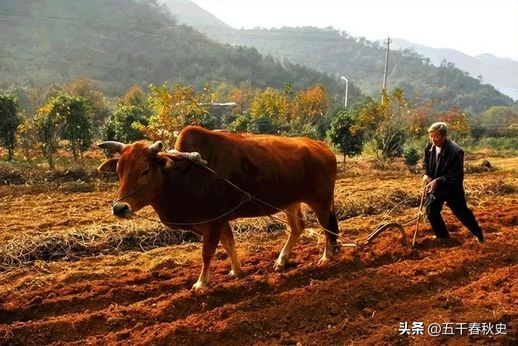 为什么春天打雷冬天不打雷_春天打雷是什么原因