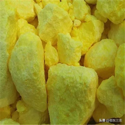 家里有蛇怎么办_家里有蛇怎么办？如何驱赶进屋的蛇？